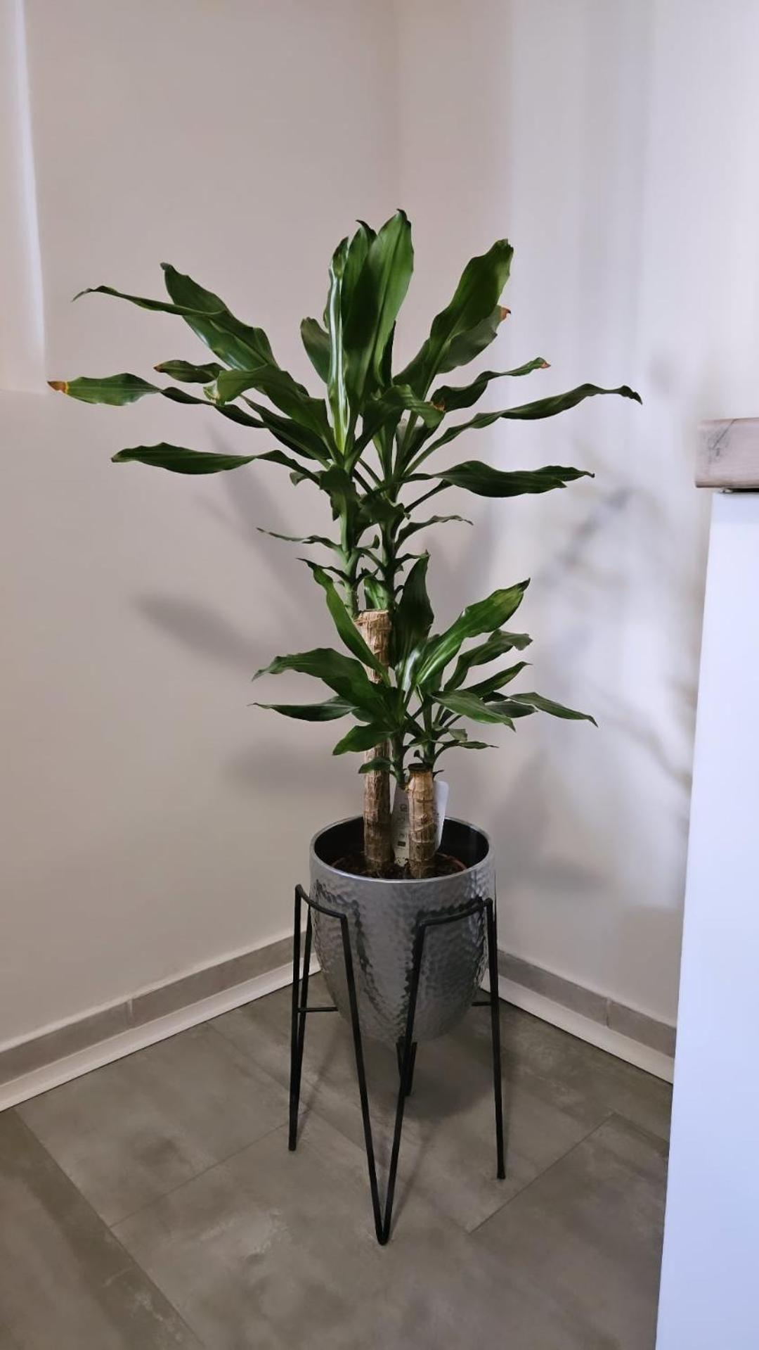 Apartment Gago Split Ngoại thất bức ảnh
